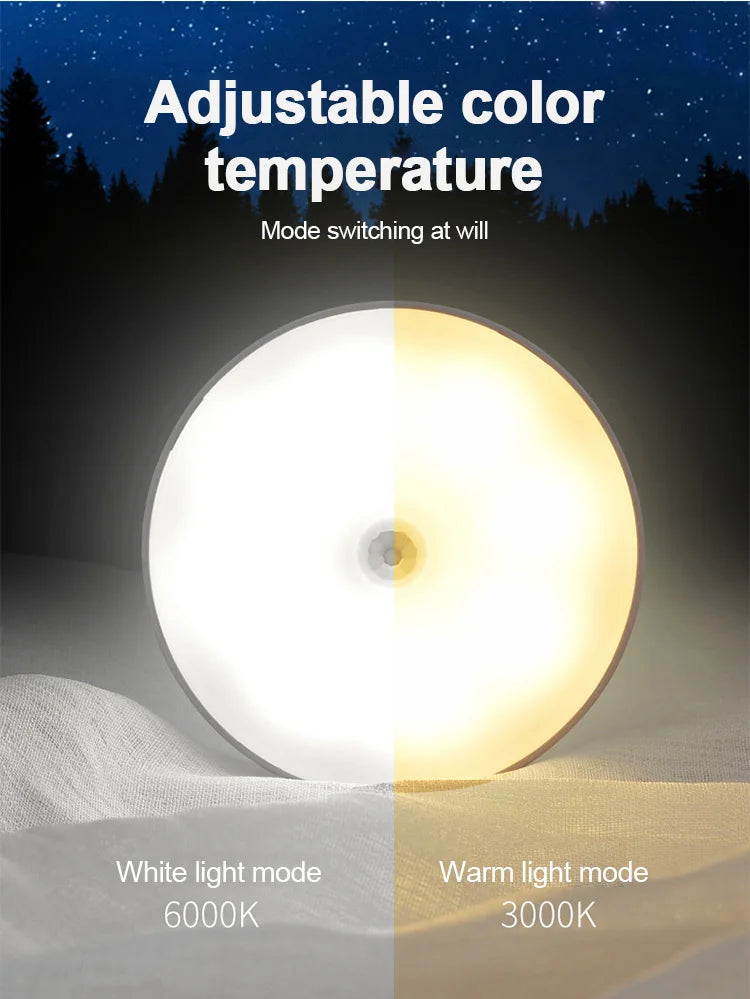 motion sensor light