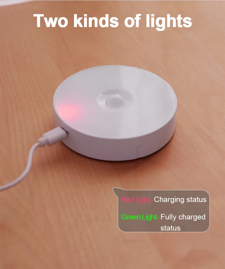 motion sensor light