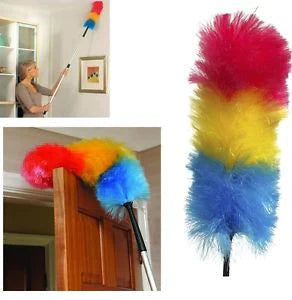 Colourful Feather Duster