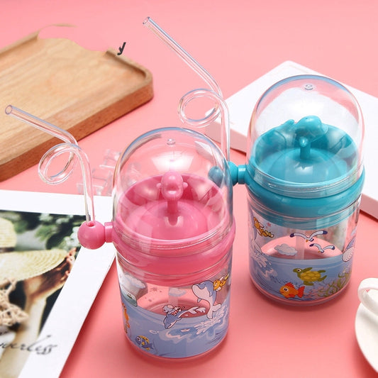 Fancy Water Bottle Cup With Straw