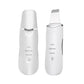 Rechargeable facial skin