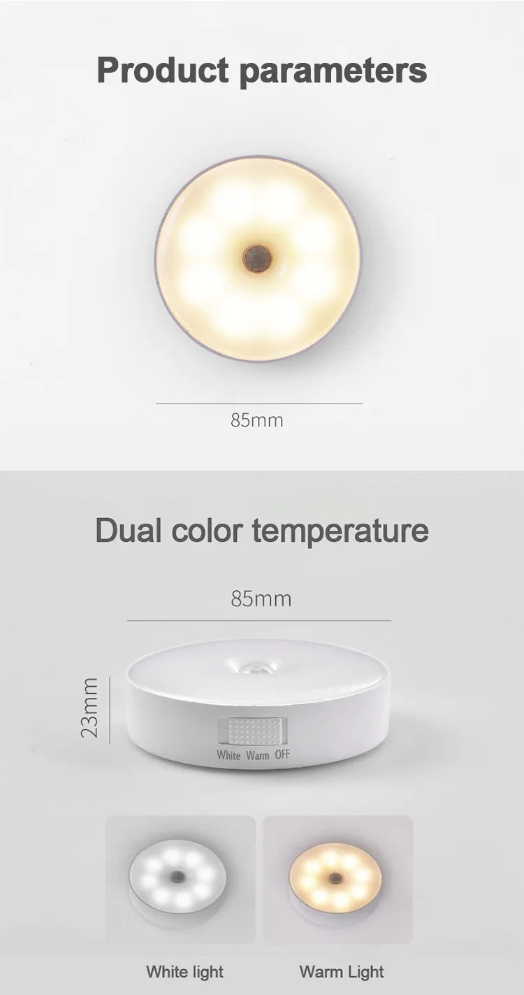 motion sensor light