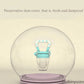 Baby Food Pacifier
