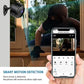A9 Mini Wireless camera (free delivery)