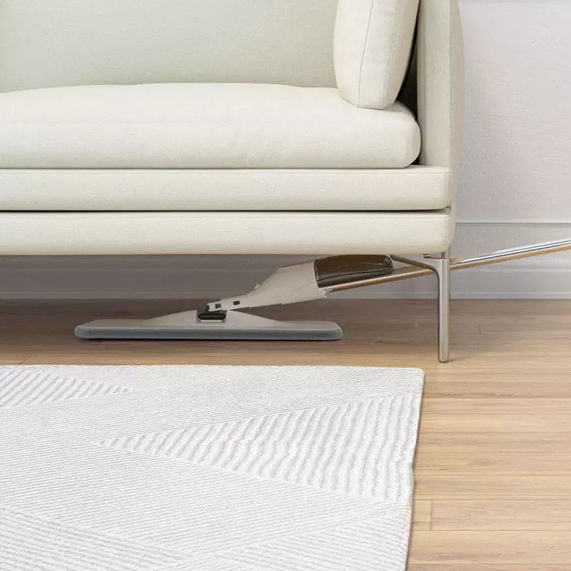 Spray Mop (Free Delivery)
