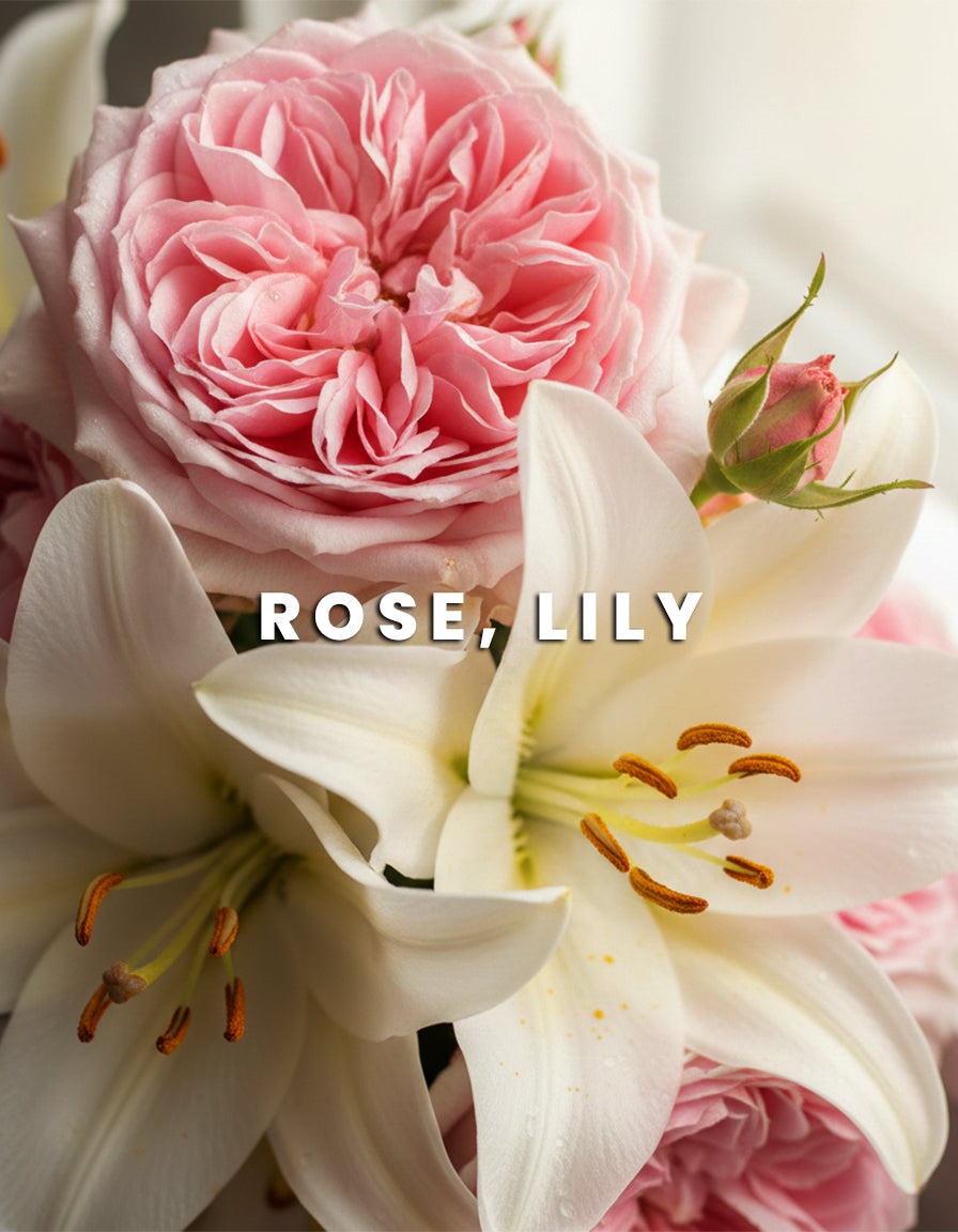 White Musk – Pure & Soft Fragrance for Women