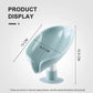 Hydrolic Soap Dish