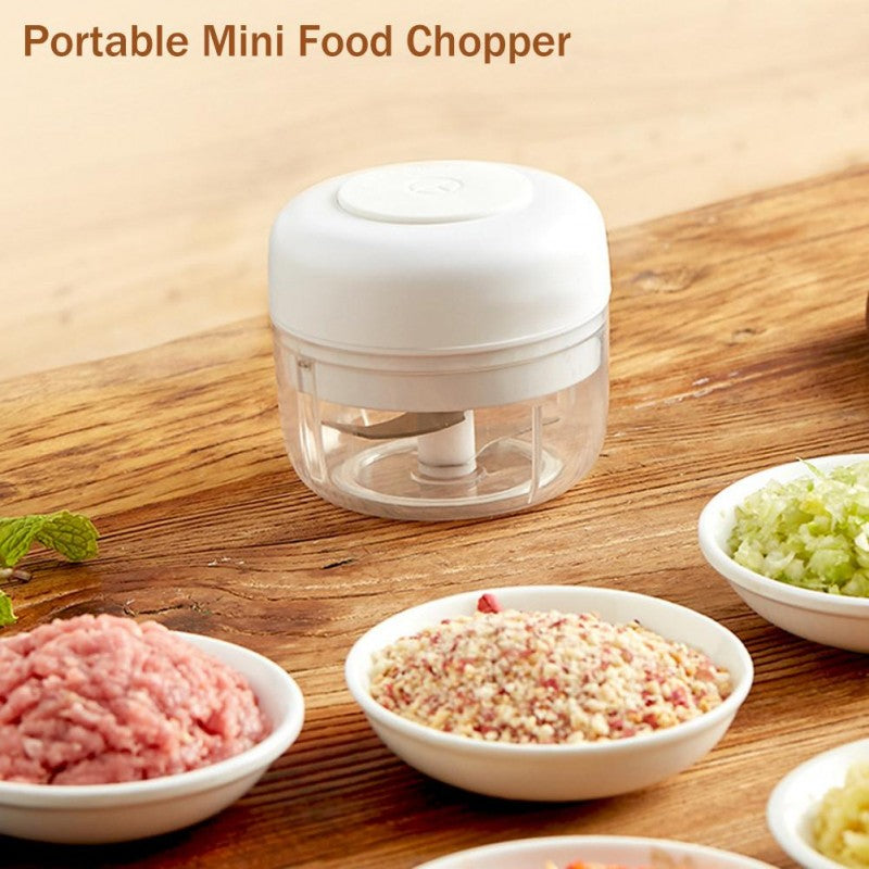 Mini Food Chopper