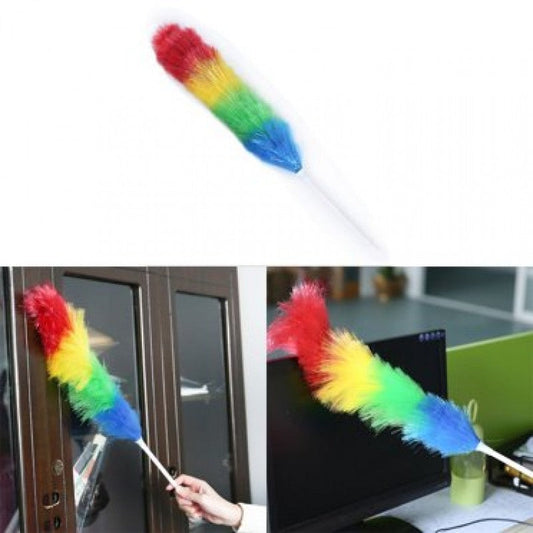 Colourful Feather Duster