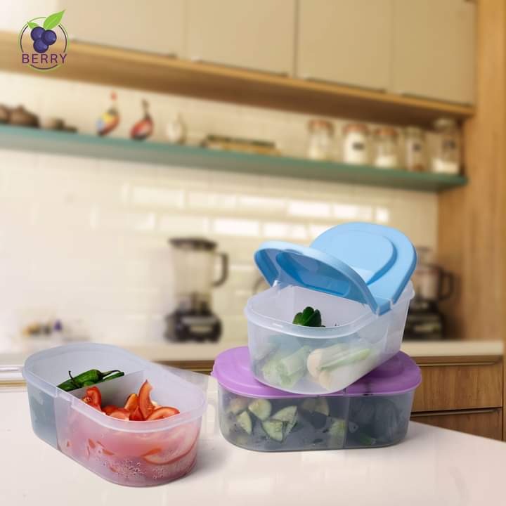 Splash Dual Compartment Food container - Pack Of 2