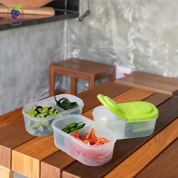 Splash Dual Compartment Food container - Pack Of 2